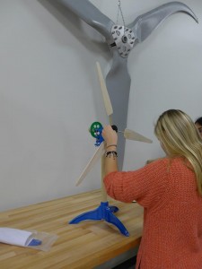 10857817_10152753088212550_114413603676681678_n