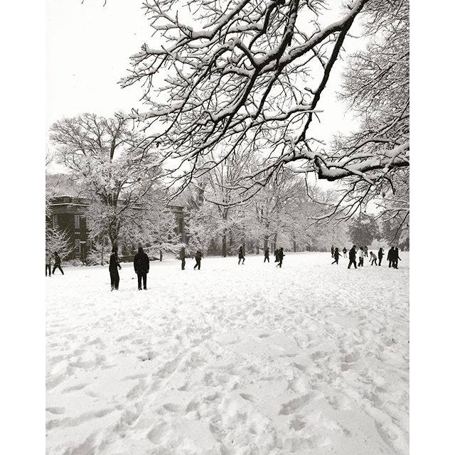 12541130_10153919891711907_6274613108140020857_n