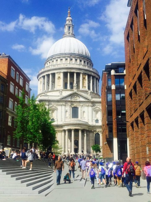 13239096_10210056264506815_599780730192784741_n