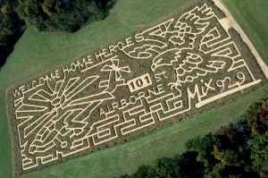 Corn Maze