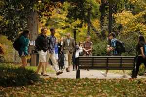 8182891825_c18fca7869