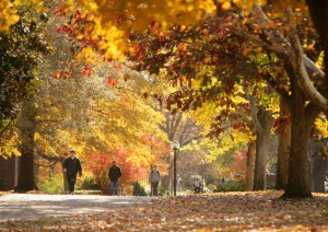 Fall-Students-Walking_none