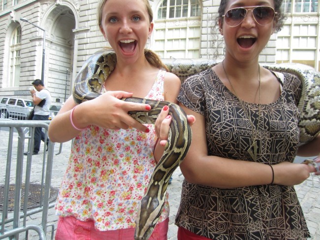 snakes downtown