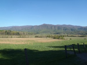 Landscape in Cades Cove