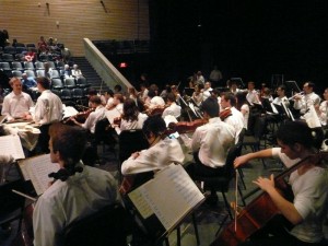 CCSMF Orchestra