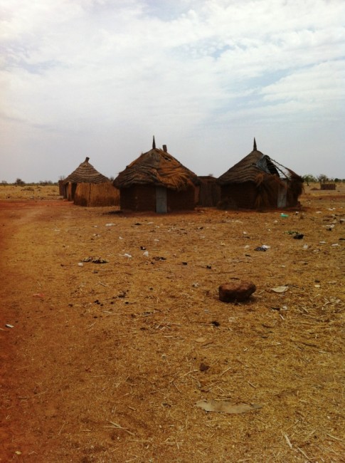 Rural Village, Senegal