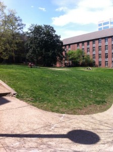 The Quad