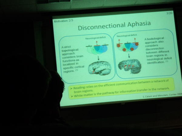 disconnectional aphasia