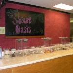 Yogurt Oasis