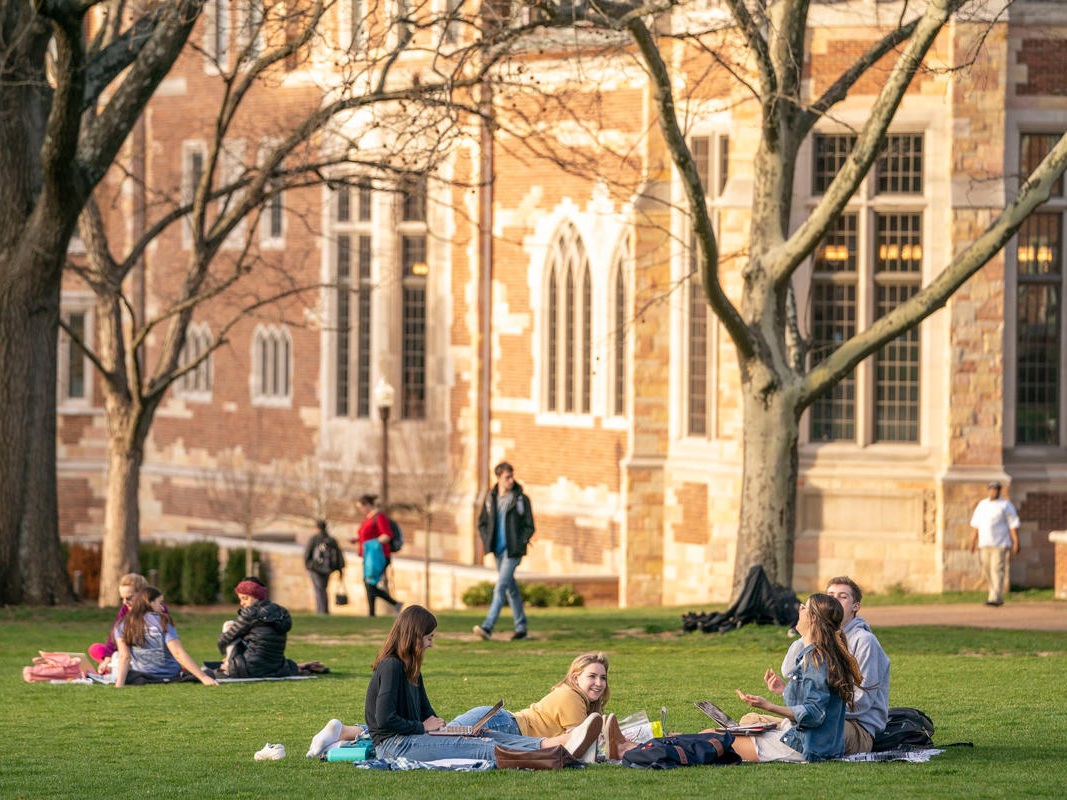 students sitting on alumni lawn