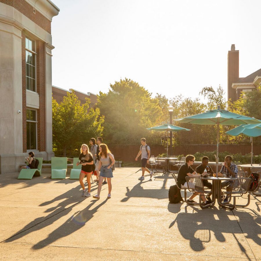 Students on the commons